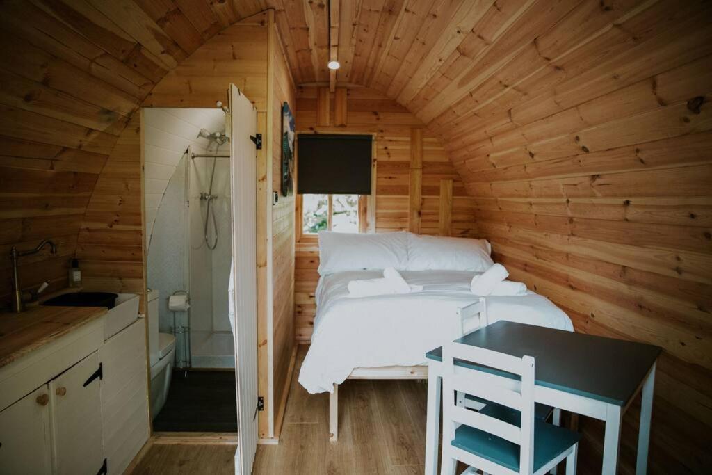 Ash Winter Retreat- Hot Tub & Log Bruner Barmouth Exterior foto